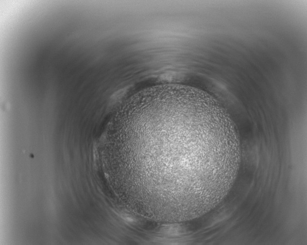 X0000067490127200604101305