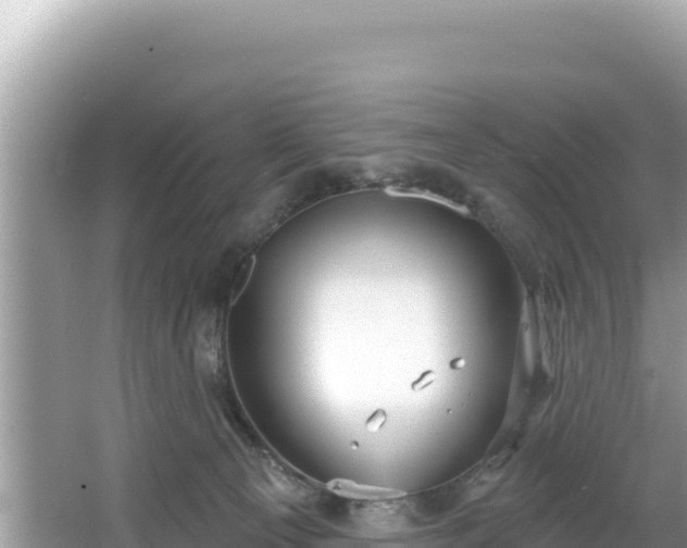 X0000067490129200604101305