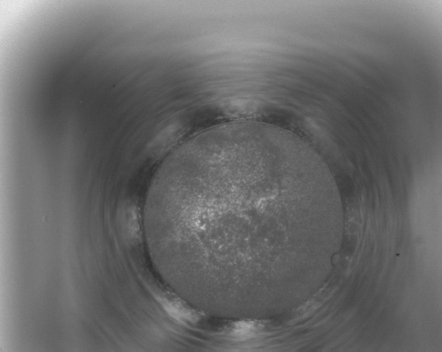 X0000067490130200604101305