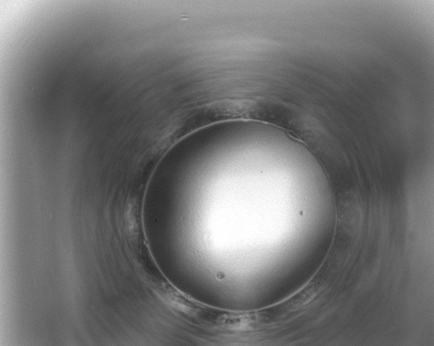 X0000067490131200604101305