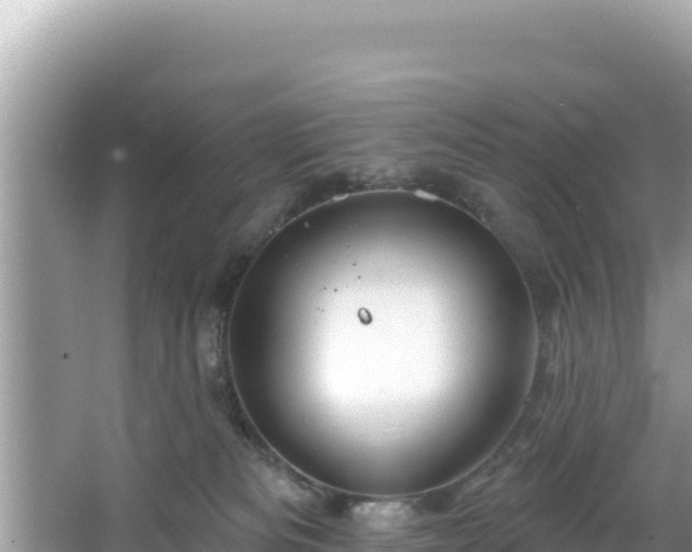 X0000067490133200604101305