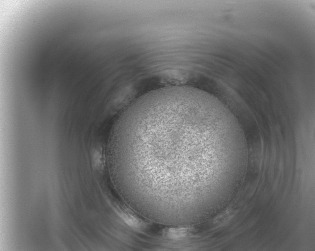 X0000067490134200604101305