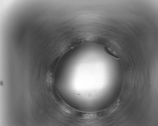 X0000067490135200604101305