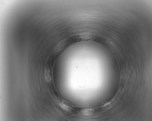 X0000067490136200604101305