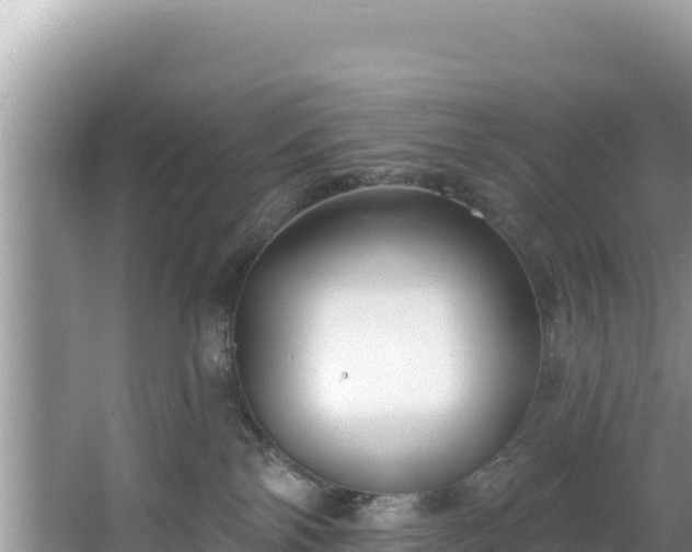 X0000067490138200604101305