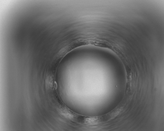 X0000067490139200604101305