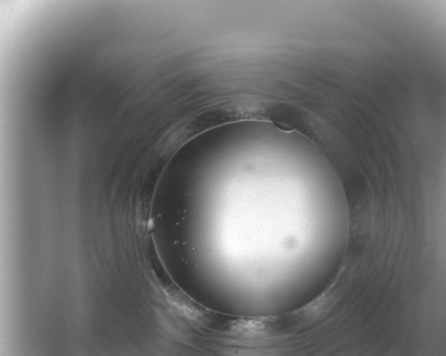 X0000067490140200604101305