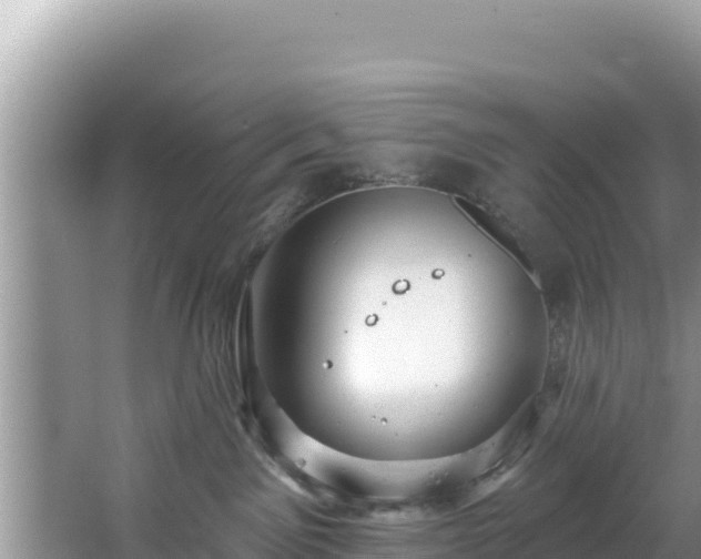 X0000067490141200604101305