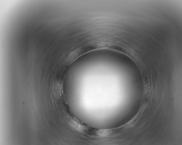 X0000067490142200604101305