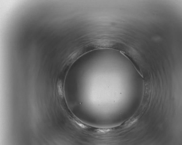 X0000067490143200604101305