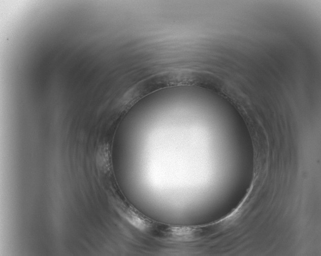 X0000067490144200604101305