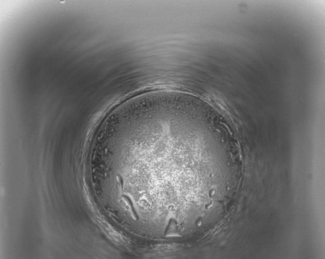 X0000067490145200604101304