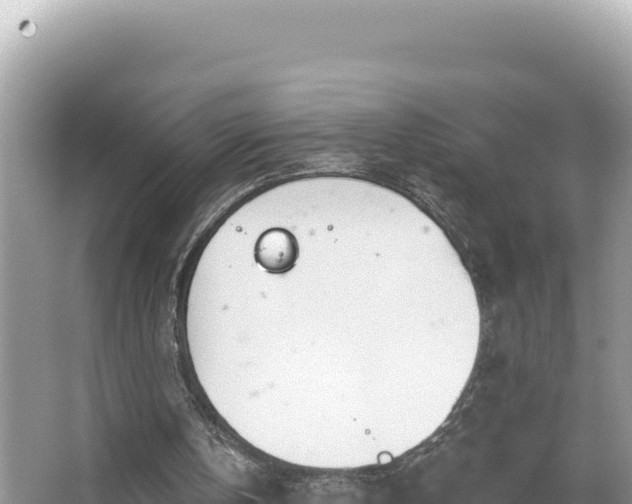 X0000067490146200604101304