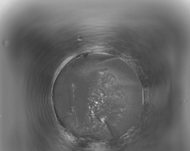 X0000067490147200604101304