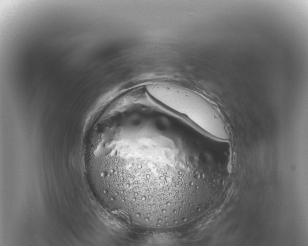 X0000067490149200604101304