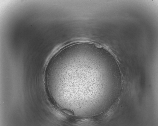 X0000067490151200604101304