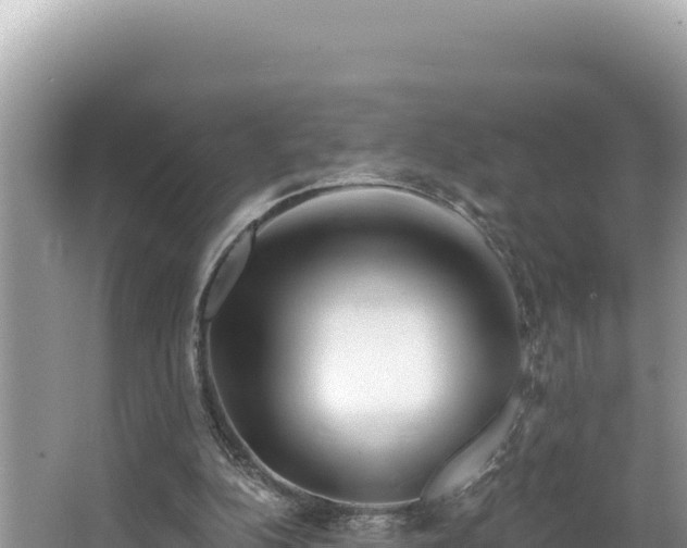 X0000067490152200604101304