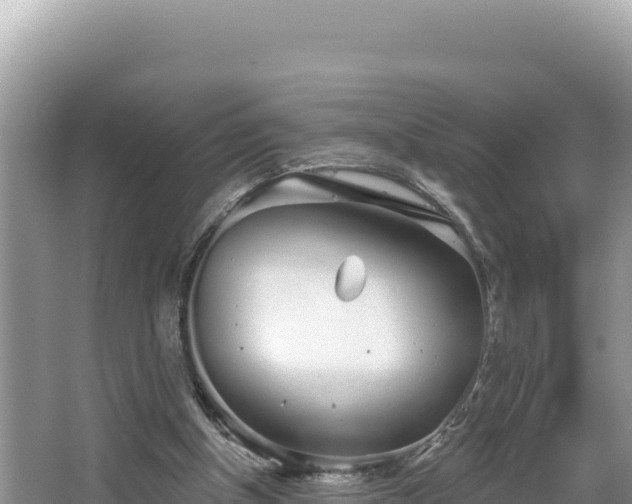 X0000067490154200604101304