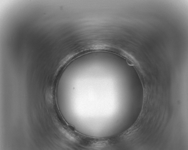 X0000067490155200604101304