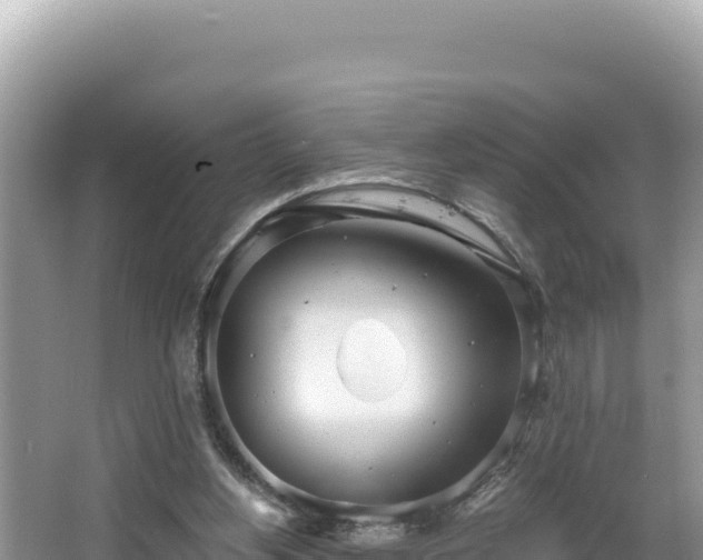 X0000067490156200604101304