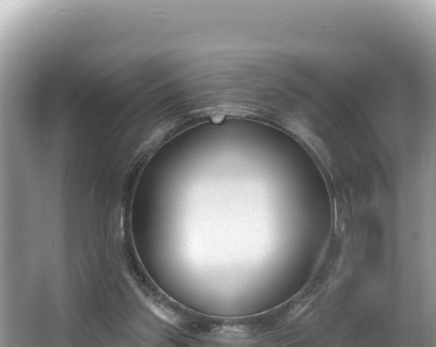 X0000067490157200604101304