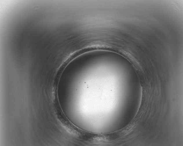 X0000067490160200604101304