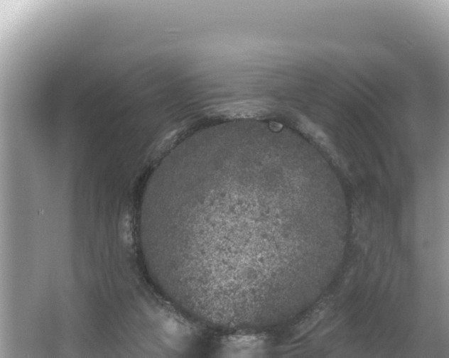 X0000067490161200604101304