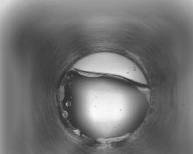 X0000067490162200604101304