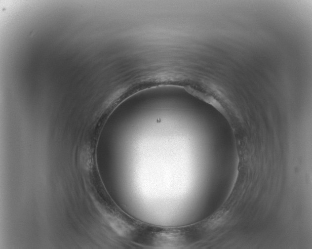 X0000067490164200604101304