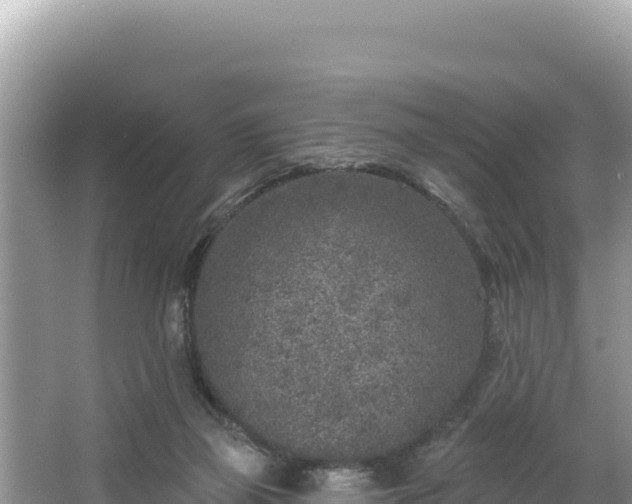 X0000067490165200604101304