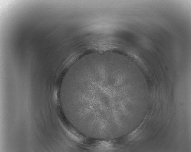 X0000067490166200604101304