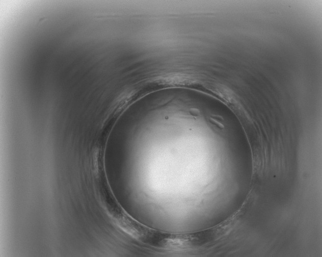 X0000067490167200604101304