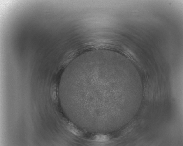 X0000067490169200604101304