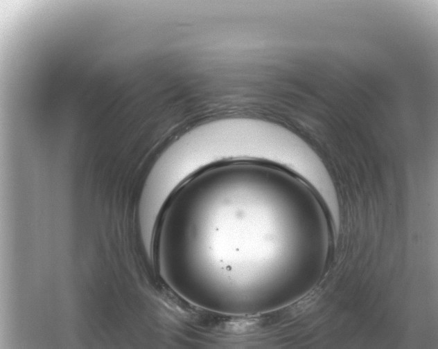 X0000067490172200604101304