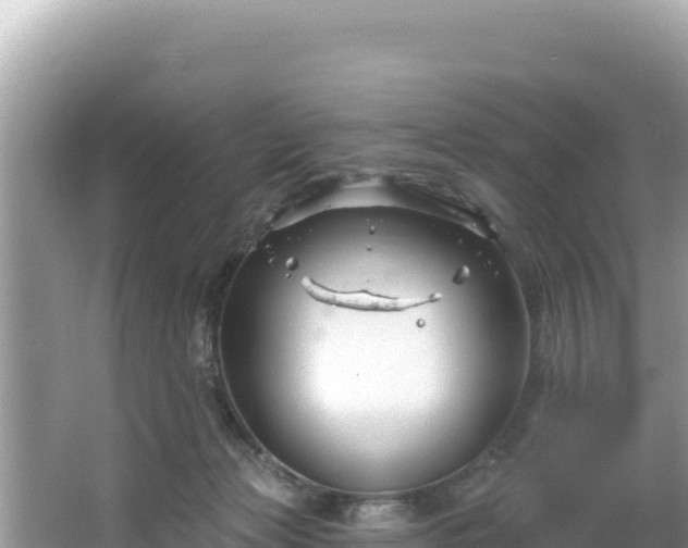 X0000067490173200604101304