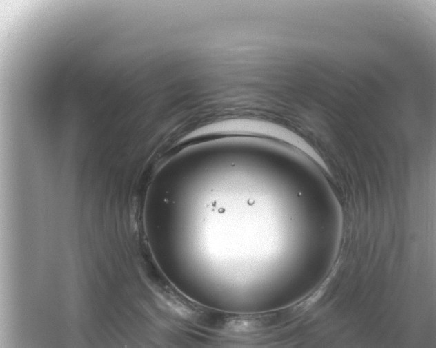 X0000067490174200604101304