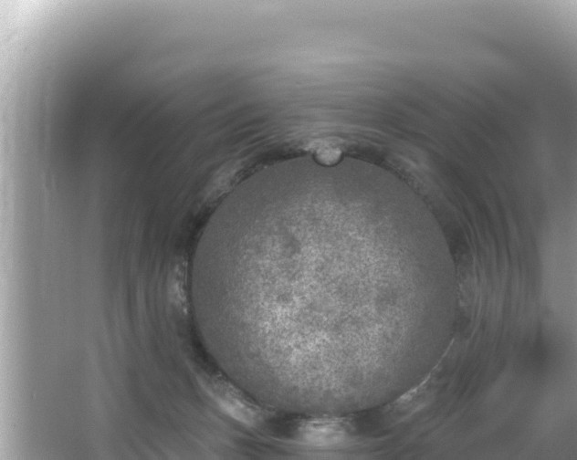 X0000067490175200604101304