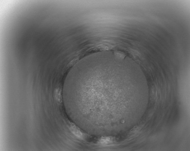 X0000067490177200604101304