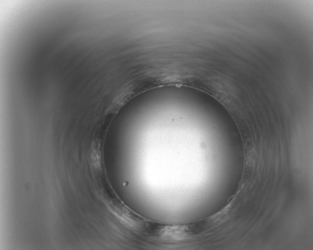 X0000067490179200604101305