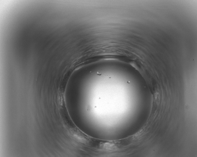 X0000067490180200604101305