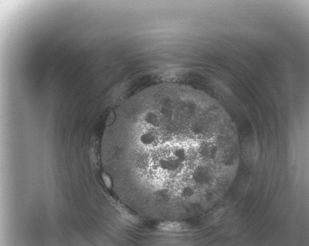 X0000067490181200604101305