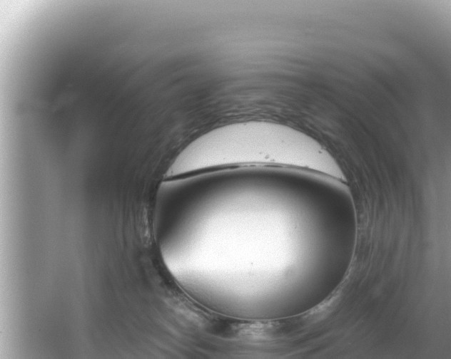 X0000067490182200604101305