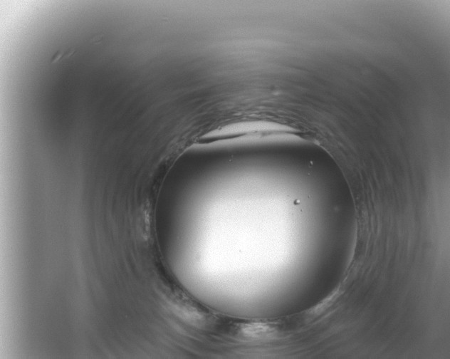 X0000067490183200604101305