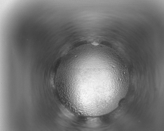 X0000067490185200604101305