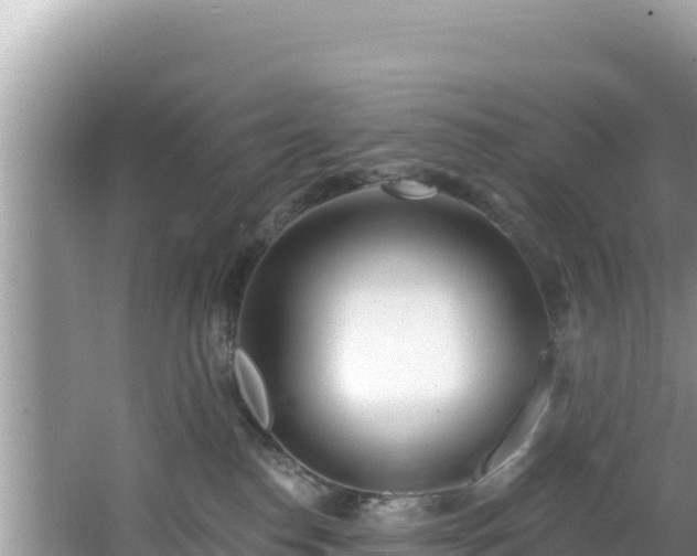 X0000067490186200604101305