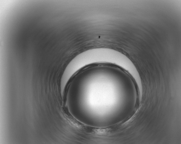 X0000067490187200604101305