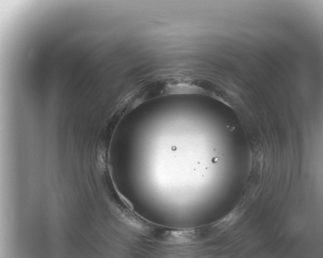 X0000067490188200604101305