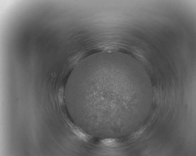 X0000067490189200604101305