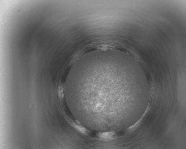 X0000067490191200604101305