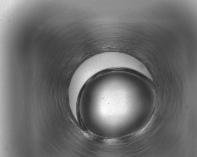 X0000067490192200604101305